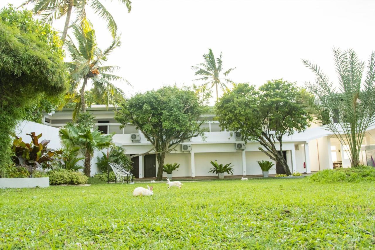 Manara Beach Resort Beruwala Extérieur photo